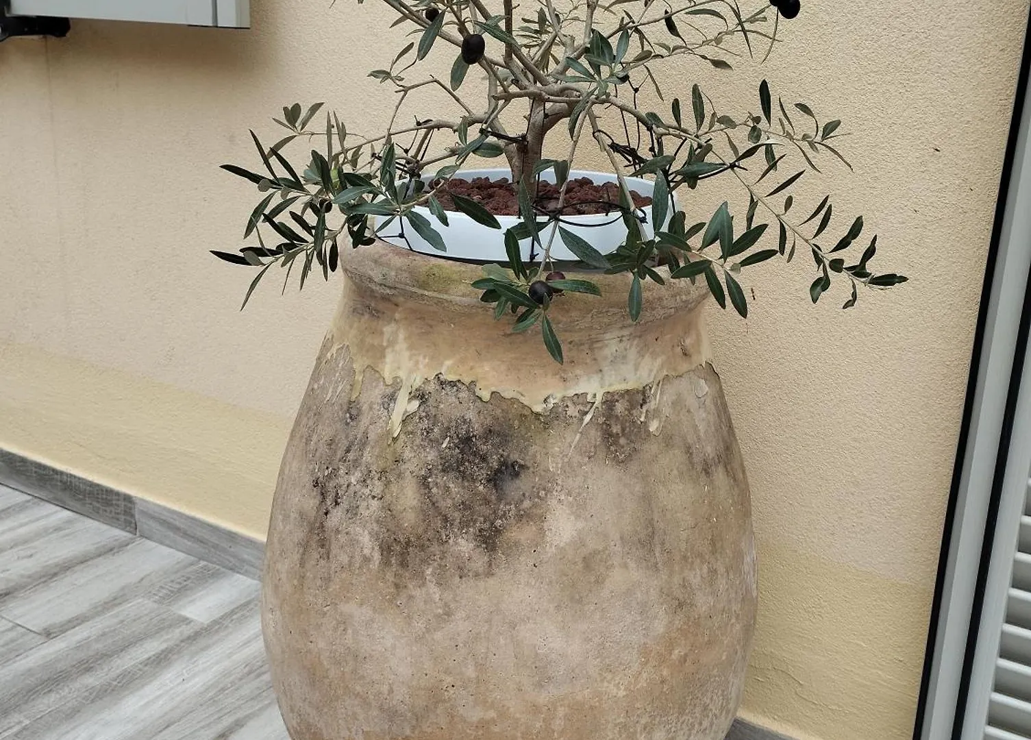 Pama Mar Apartment Imperia 0*,